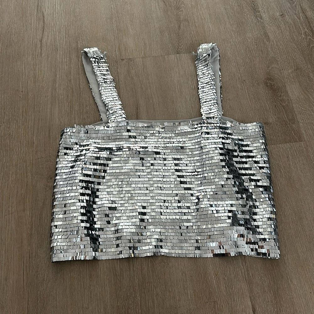 Zara Sequin Disco Crop Top